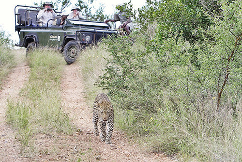 Hotel Kambaku River Sands 8