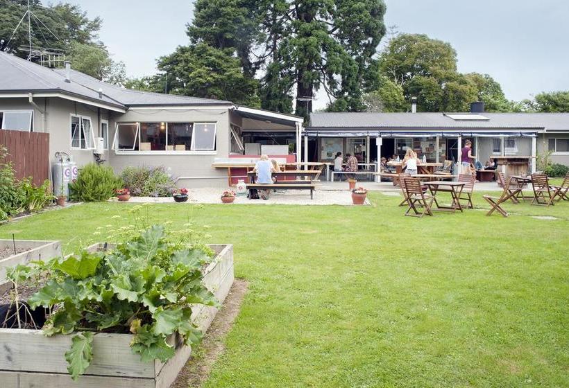 Hostel Happy Apple Backpackers 7