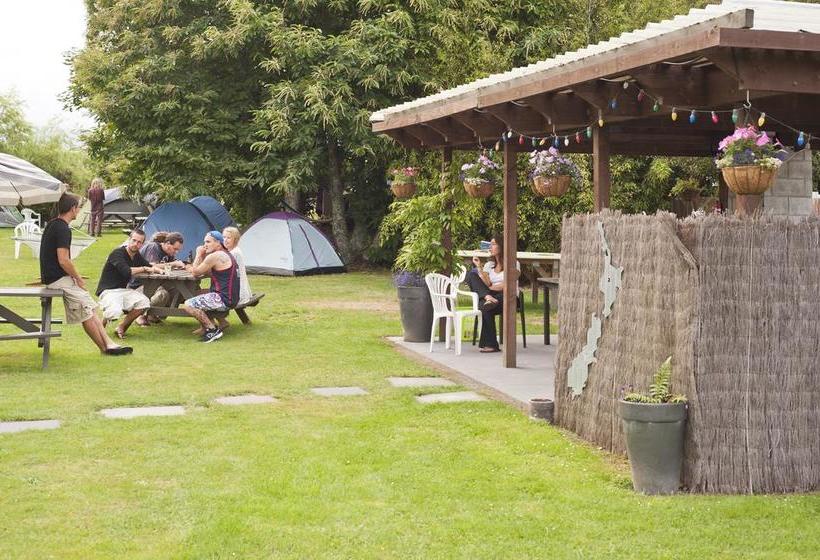 Hostel Happy Apple Backpackers 8