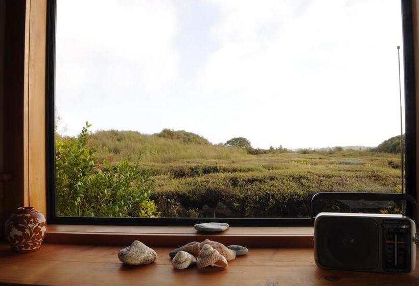 Hotel Beaconstone Eco Lodge Charleston