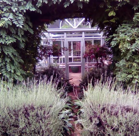 Pensión Doveton House 4