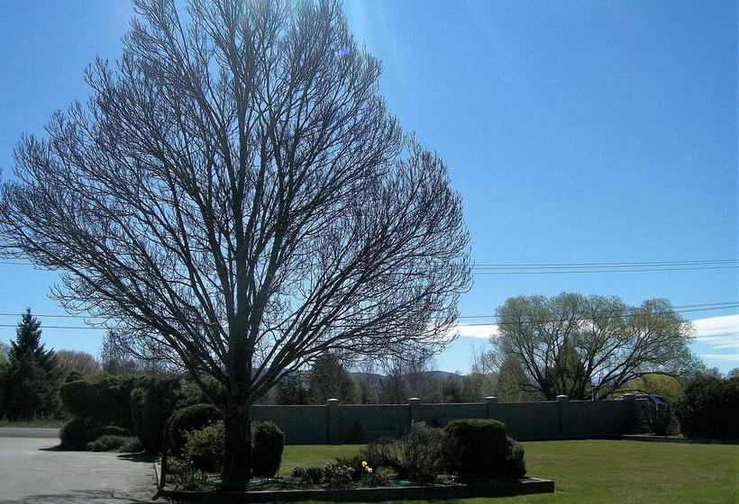 Asure Sierra Motel 3