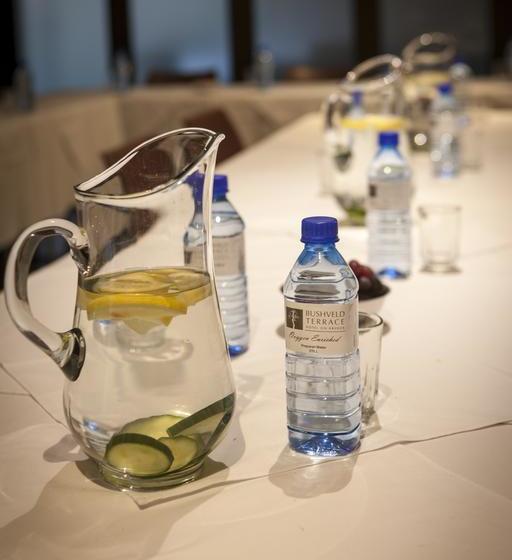 Bushveld Terrace - Hotel & Guesthouse On Kruger 11