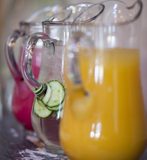 Bushveld Terrace - Hotel & Guesthouse On Kruger 16