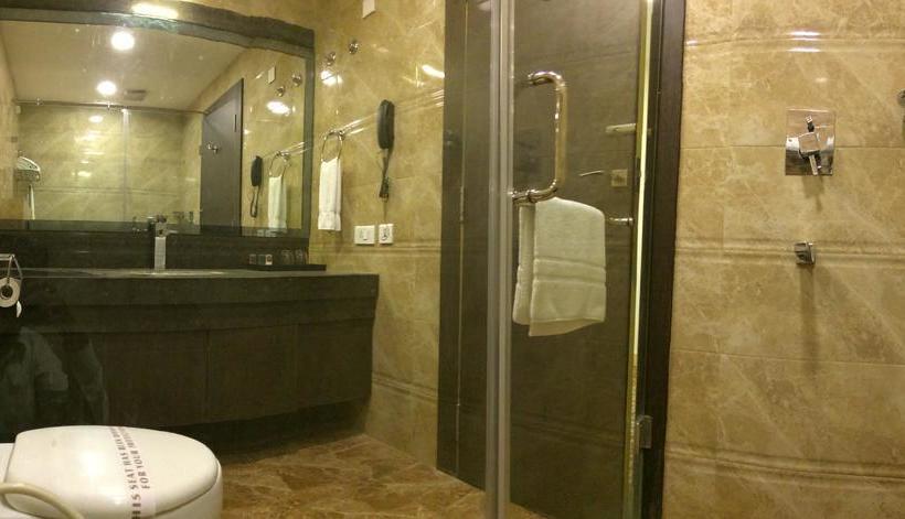 Hotel Patliputra Continental 14