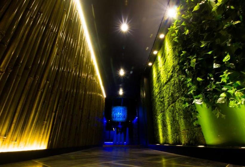 Hotel Mittal Paradise 6