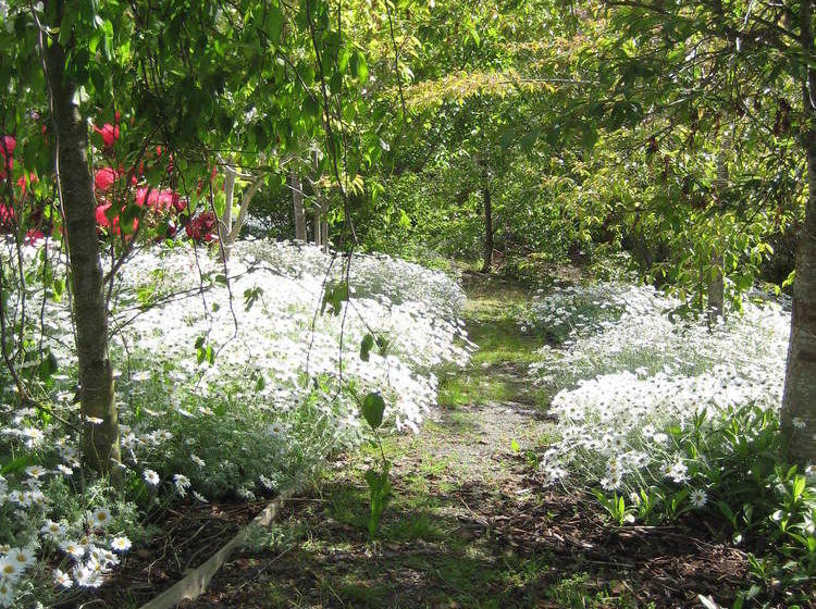 Bed & Breakfast Leithview 16