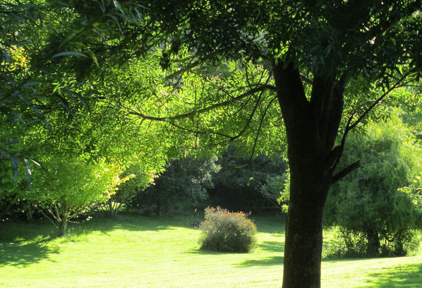 Bed & Breakfast Leithview 18