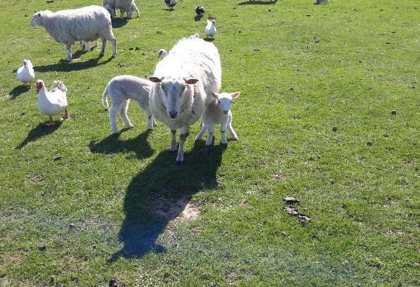 Bed & Breakfast Leithview 5