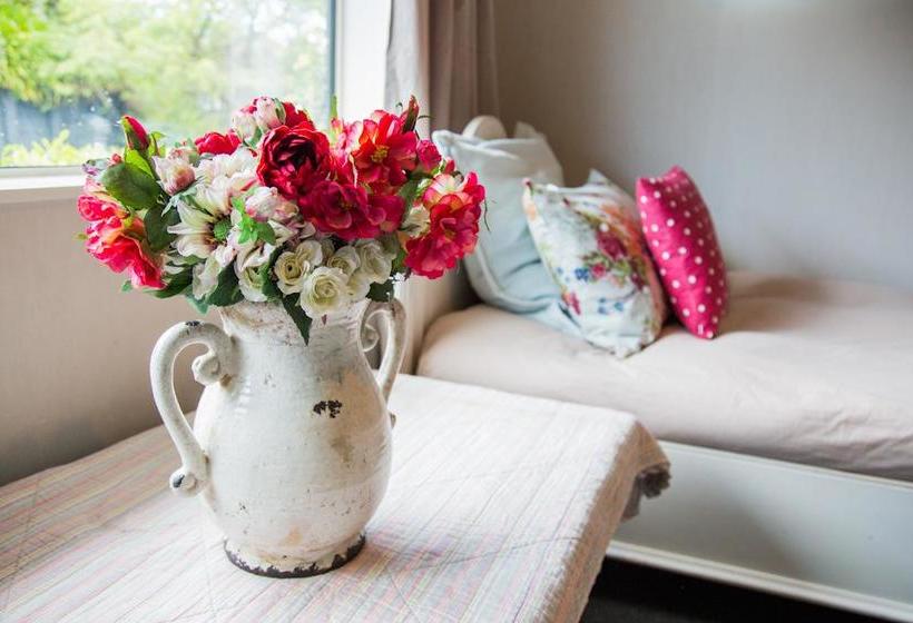 Waitomo Orchard Estate B&b 13