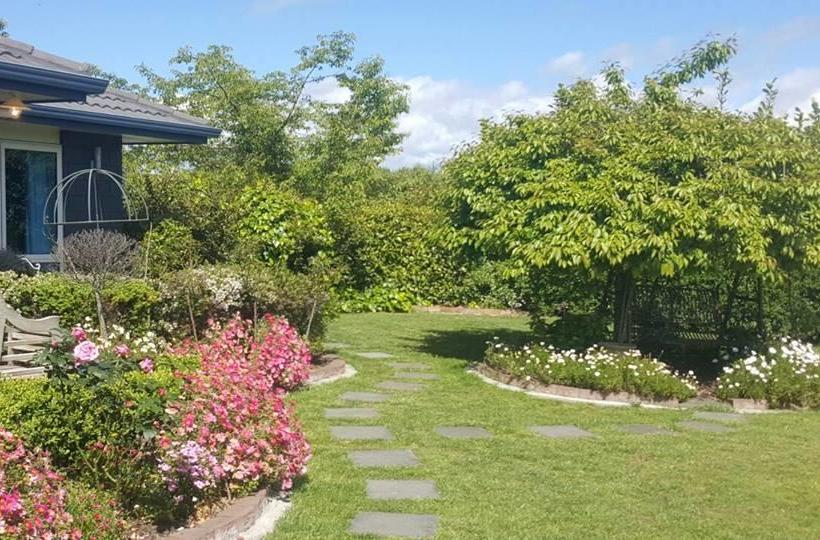 Waitomo Orchard Estate B&b 17