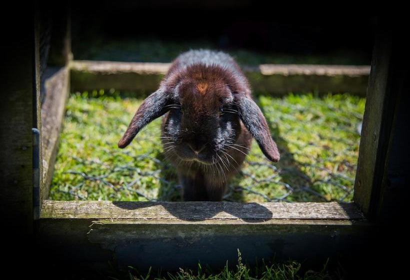 Waitomo Orchard Estate B&b 3