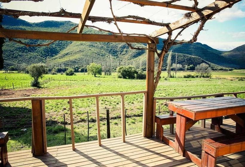 Wilgewandel Holiday Farm 11