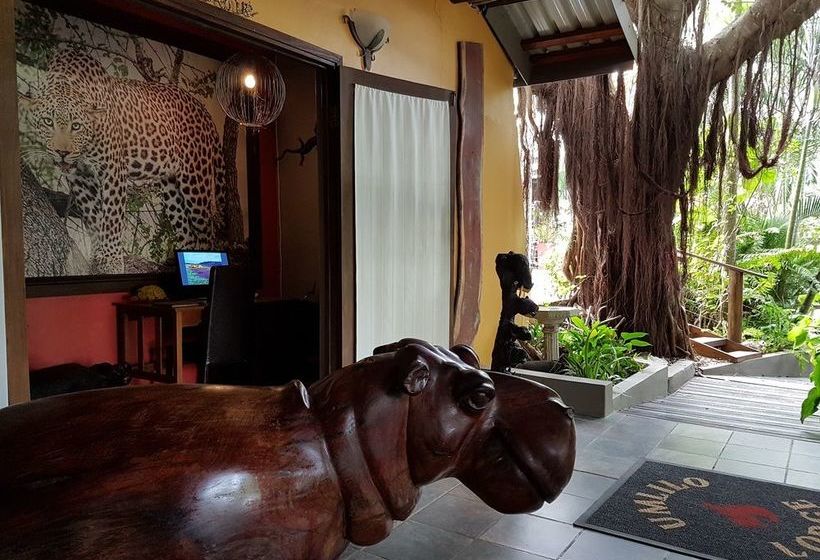 Bed and Breakfast Umlilo Lodge 1