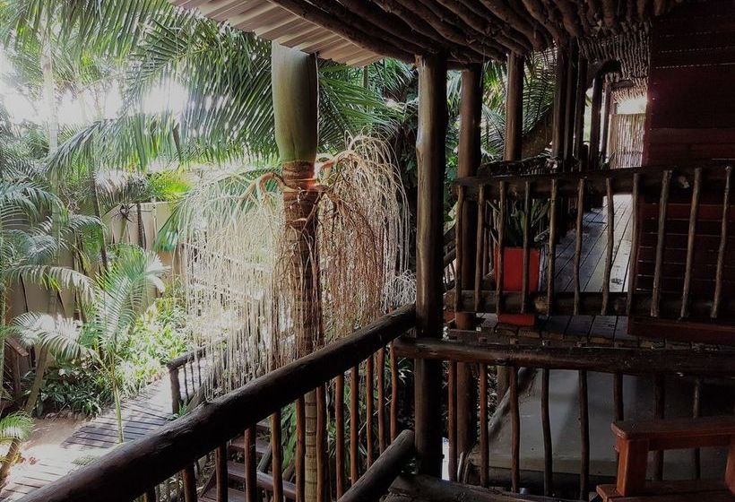 Bed and Breakfast Umlilo Lodge 6