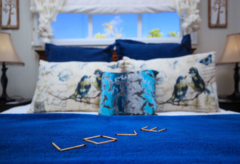 Pension Tonquani Lodge & Spa 3