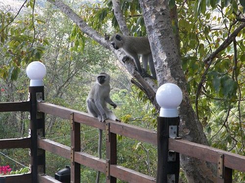 Pension Tatenda Guest House 20