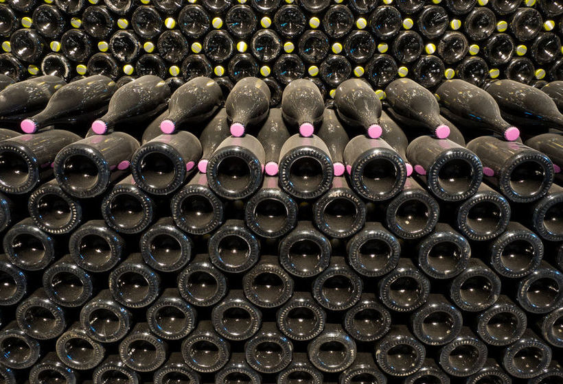 Lily Pond House At Le Lude 14