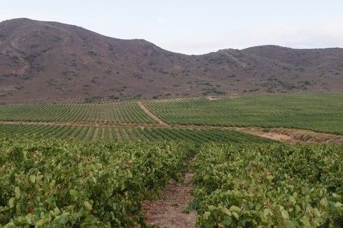 Lily Pond House At Le Lude 19