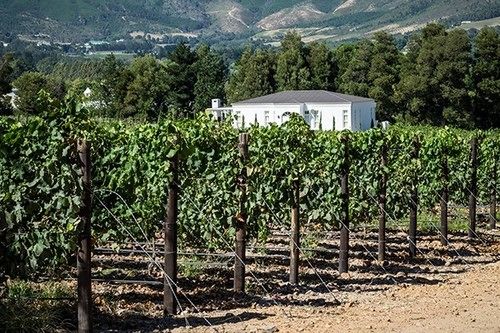 Lily Pond House At Le Lude 20