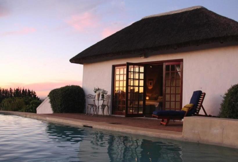 Marianne Wine Estate 2