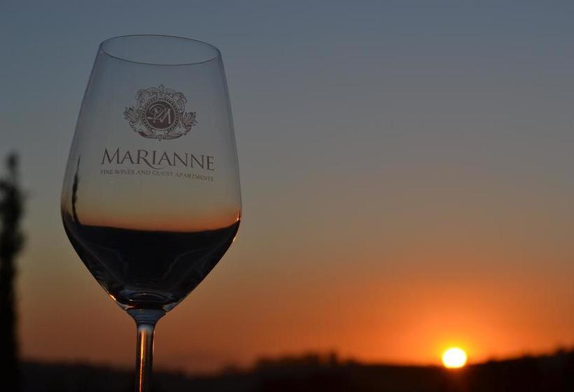 Marianne Wine Estate 5