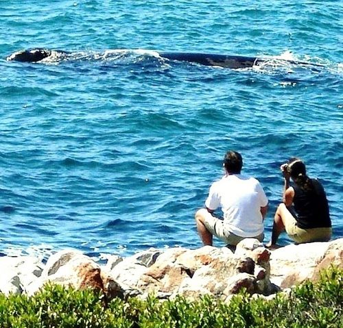 Bed and Breakfast Kleinzee Oceanfront Guesthouse 20