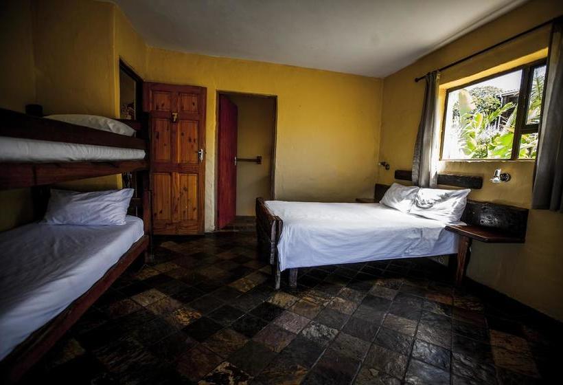 Hostel Island Vibe 3