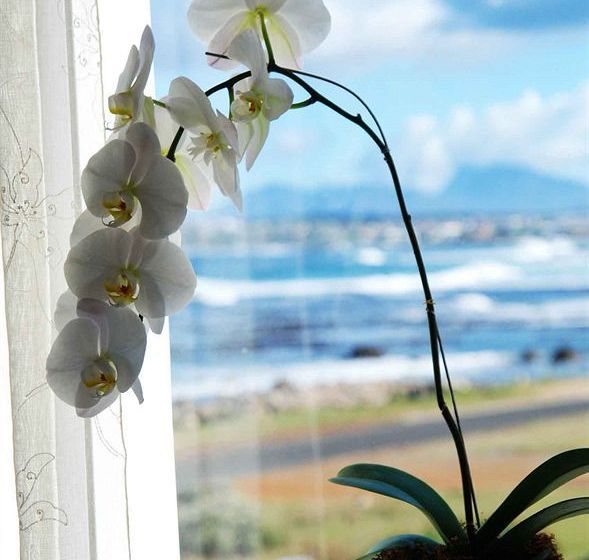 Pension 138 Marine Beachfront Guesthouse 15