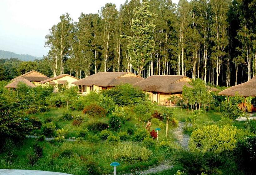 Hotel Jims Jungle Retreat Corbett Parque Nacional Uttarakhand