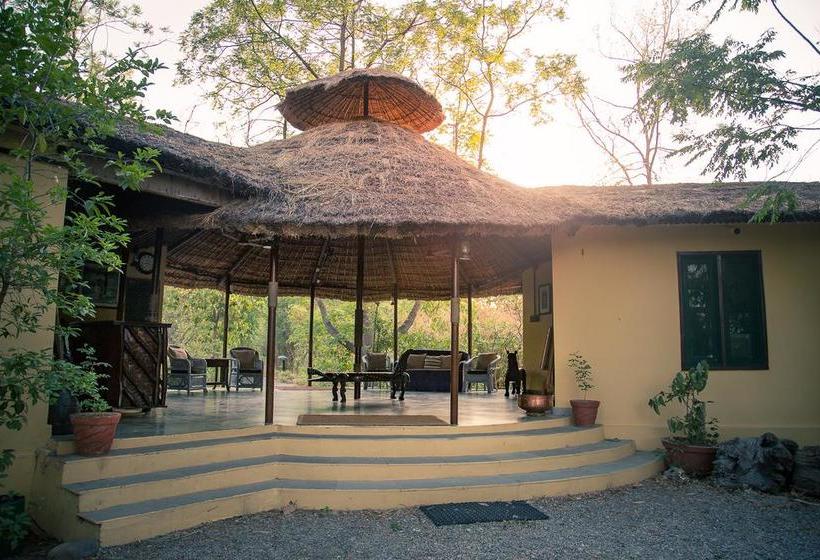 Hotel Jims Jungle Retreat 1