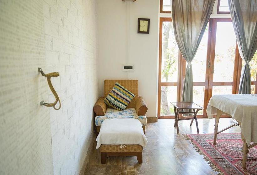 Hotel Jims Jungle Retreat 10