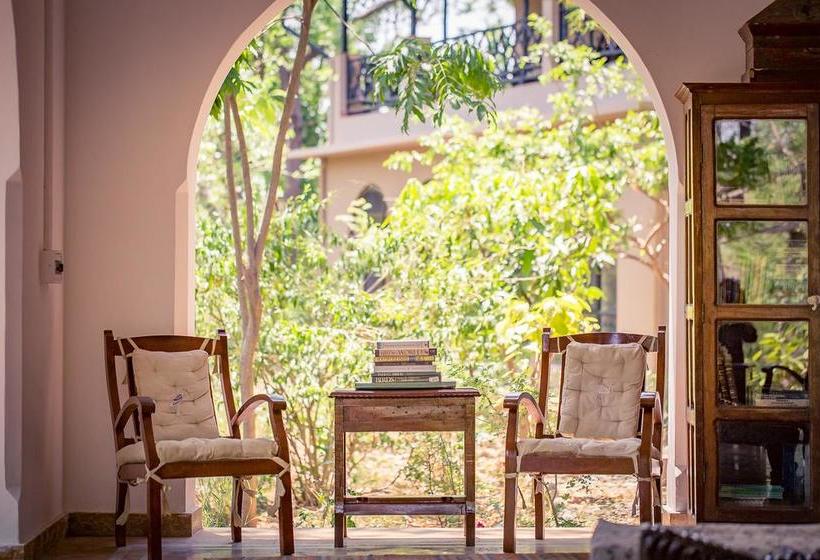 Hotel Jims Jungle Retreat 12