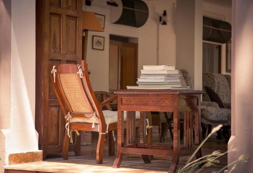 Hotel Jims Jungle Retreat 13