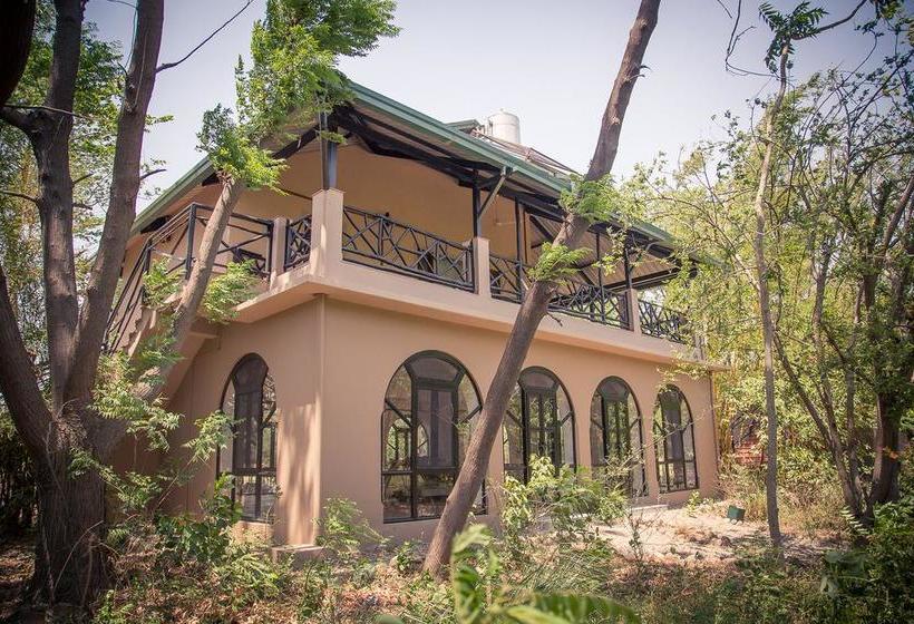 Hotel Jims Jungle Retreat 14