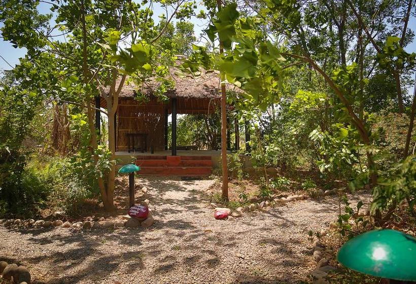 Hotel Jims Jungle Retreat 15