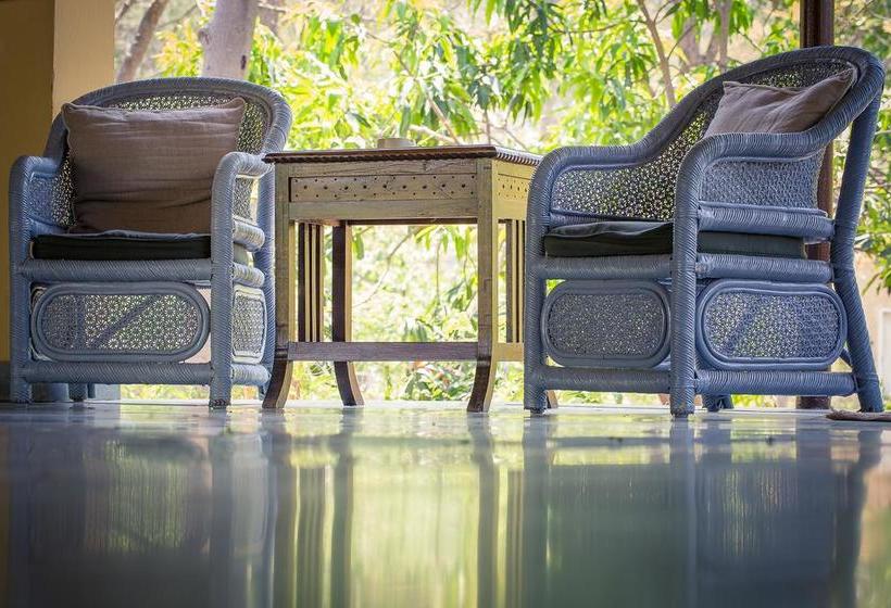 Hotel Jims Jungle Retreat 16