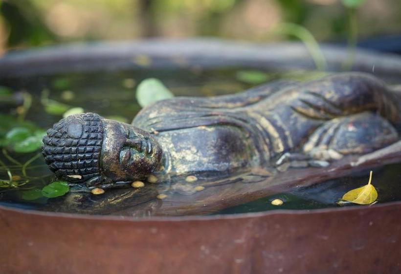 Hotel Jims Jungle Retreat 17