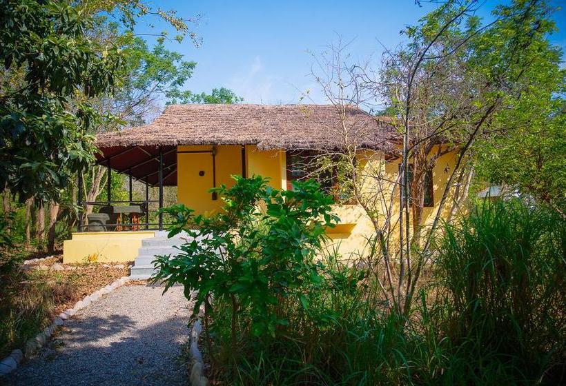 Hotel Jims Jungle Retreat 18