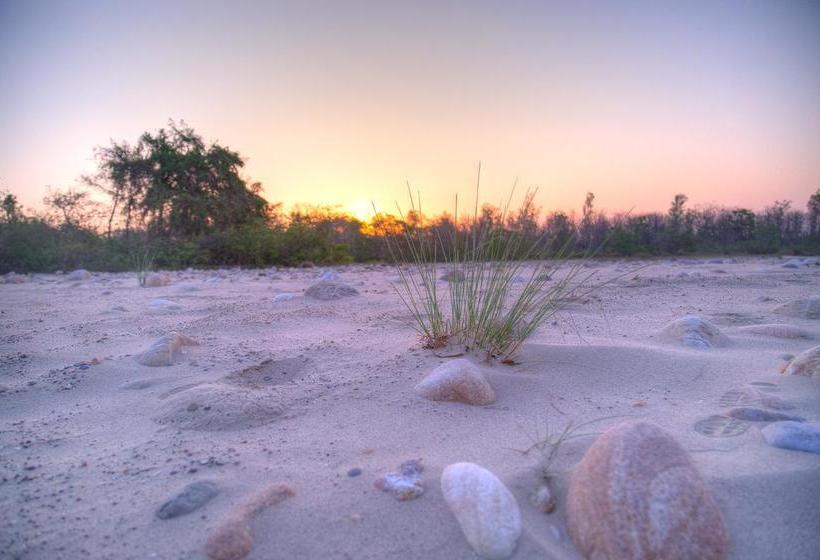 Hotel Jims Jungle Retreat 19