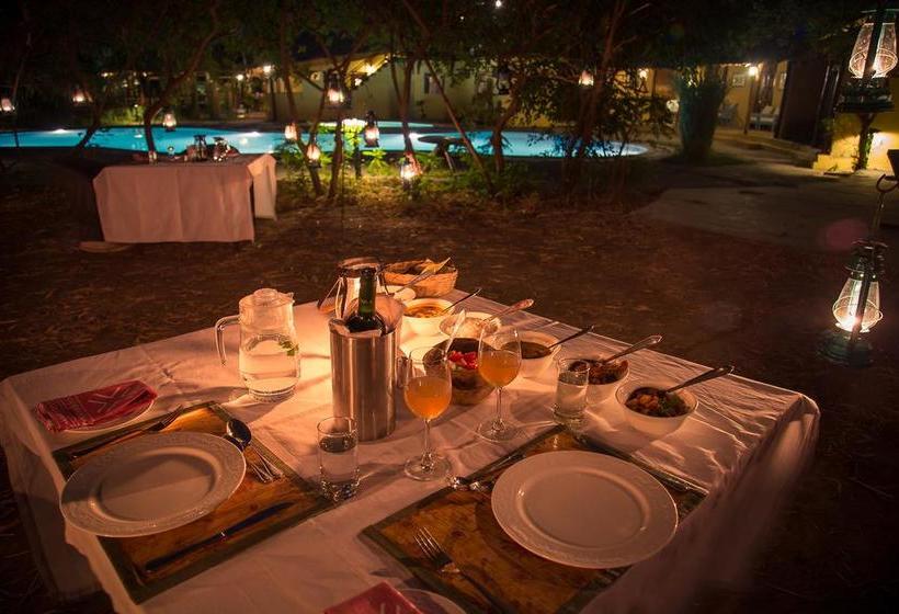 Hotel Jims Jungle Retreat 20