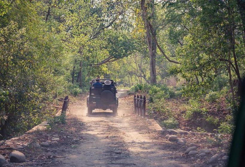 Hotel Jims Jungle Retreat 4