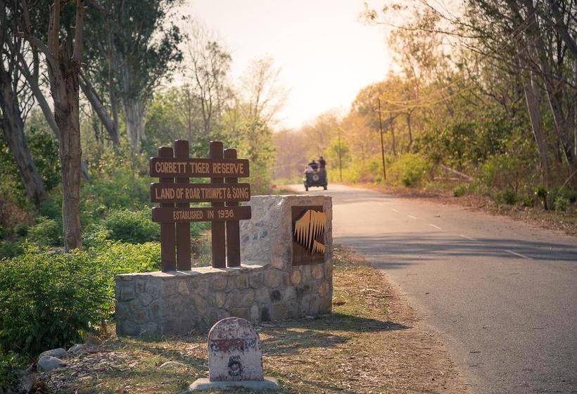 Hotel Jims Jungle Retreat 5