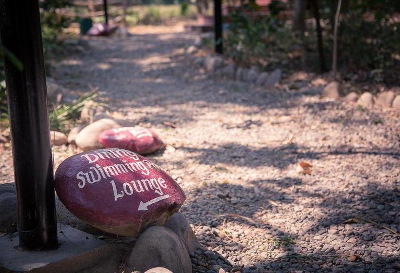 Hotel Jims Jungle Retreat 7