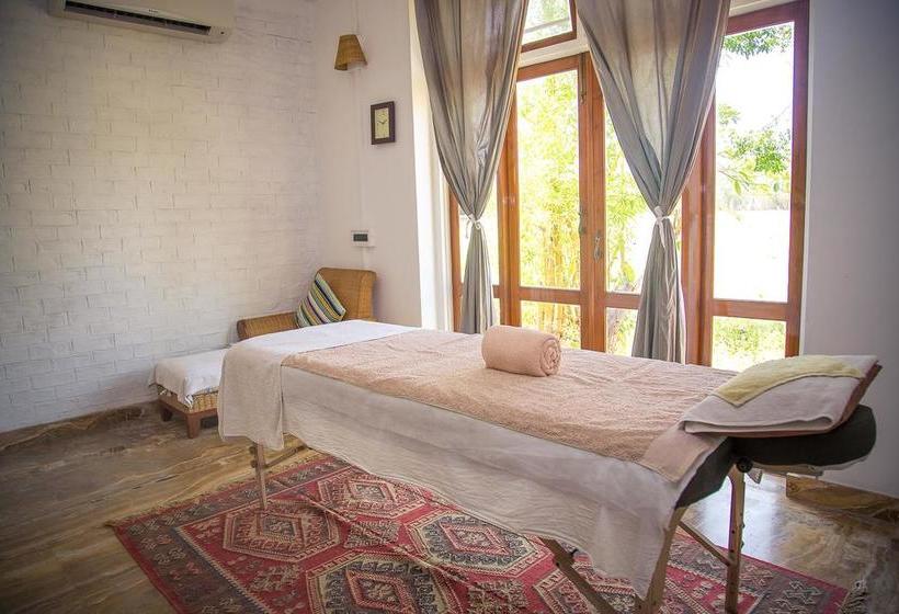 Hotel Jims Jungle Retreat 9