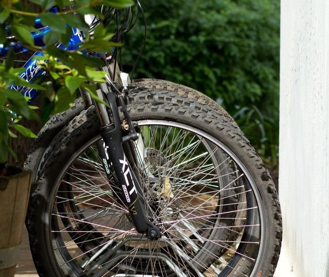 Pension Bartholomeus Klip 18