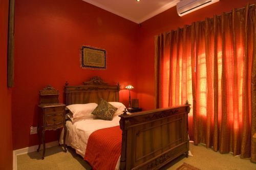 Pensión Sleepy Gecko Guest House 4