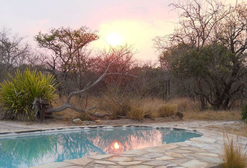 Maduma Boma Game Conservancy Hoedspruit Limpopo