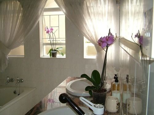 Pension Bay Tree Guest House 12