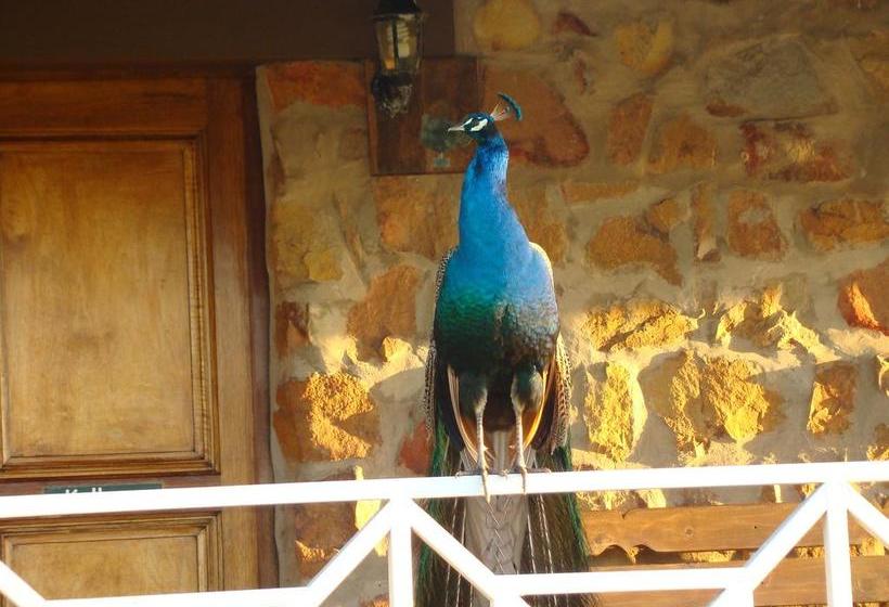 Pension Mentors Country Estate 14